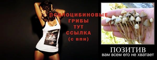 хмурый Ельня