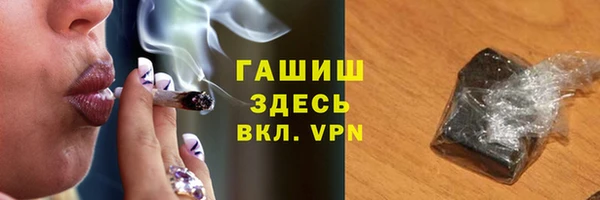 хмурый Ельня