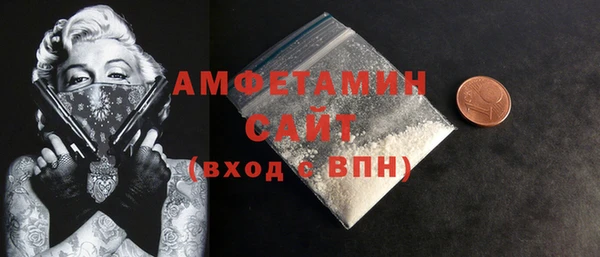 хмурый Ельня