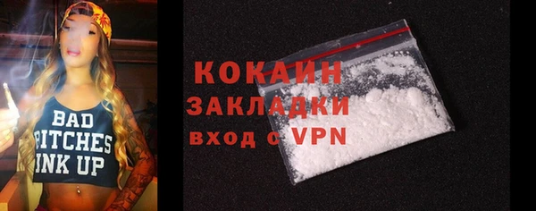 твердый Дмитров