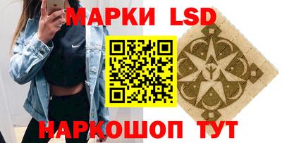 индика Дубна