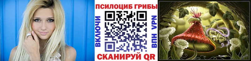Псилоцибиновые грибы прущие грибы Сланцы