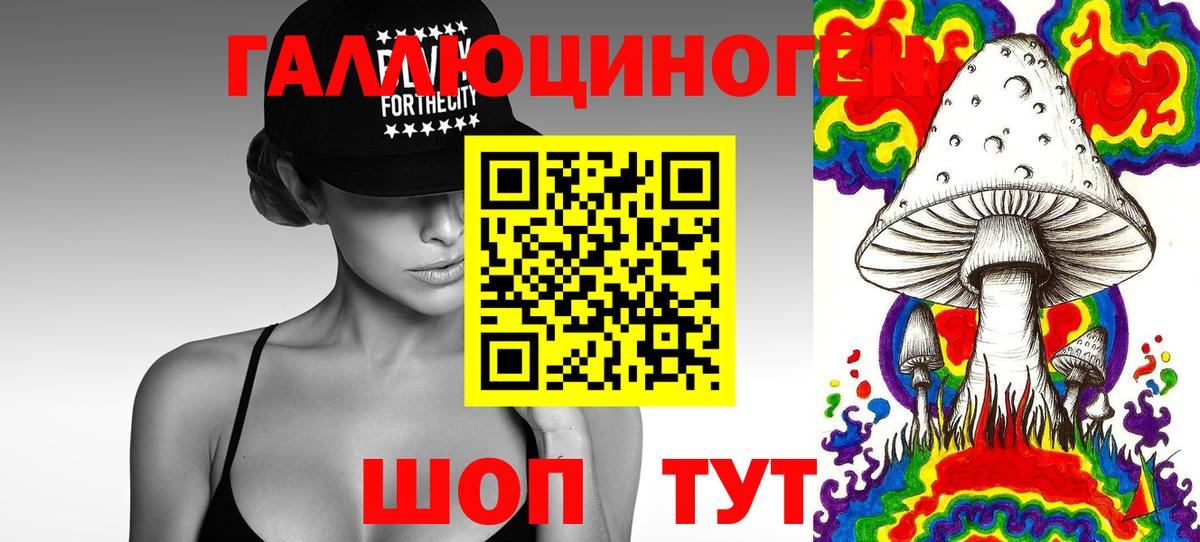 Сланцы  Псилоцибиновые грибы мицелий  Вход с VPN 