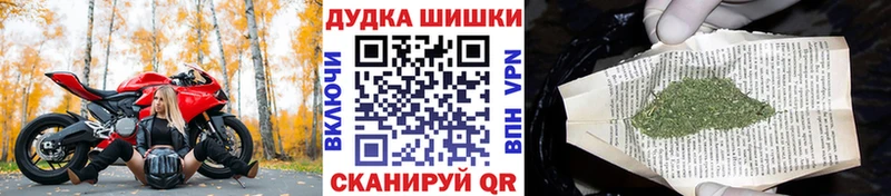как найти закладки  Сланцы  Шишки марихуана гибрид 